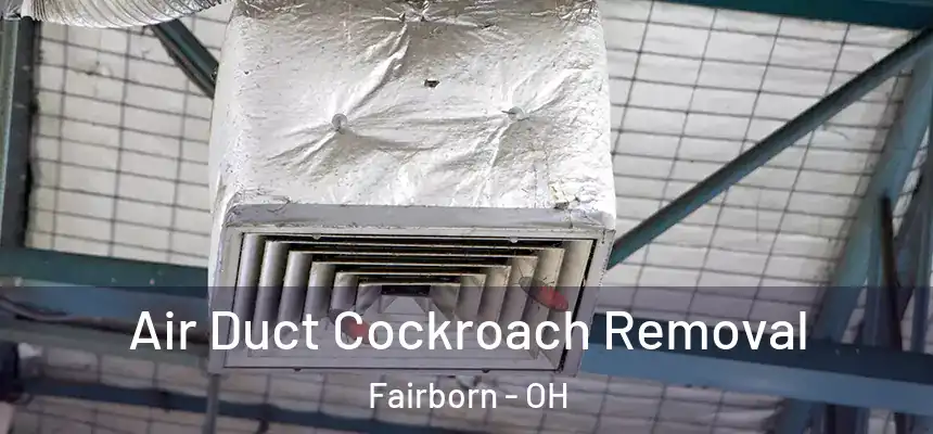 Air Duct Cockroach Removal Fairborn - OH