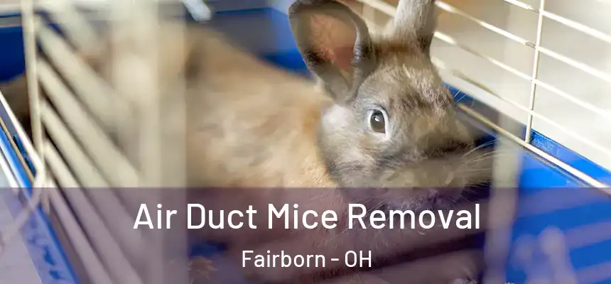 Air Duct Mice Removal Fairborn - OH