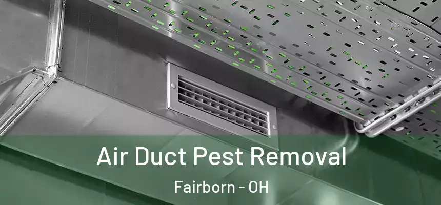 Air Duct Pest Removal Fairborn - OH
