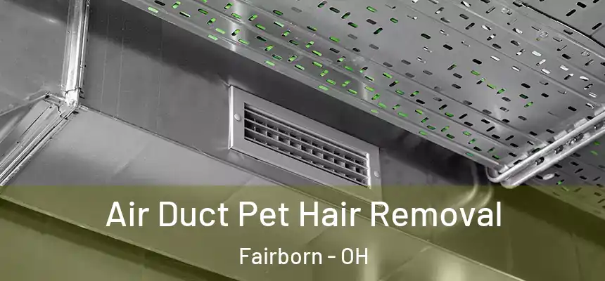  Air Duct Pet Hair Removal Fairborn - OH