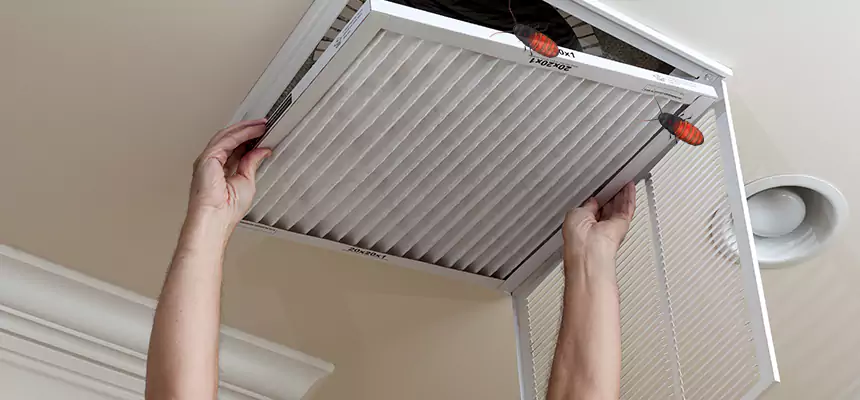 Preventive Cockroach-Proofing for Ducts in Fairborn