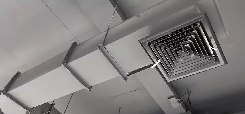 Our Pest Removal From Ducts Services in Fairborn, OH