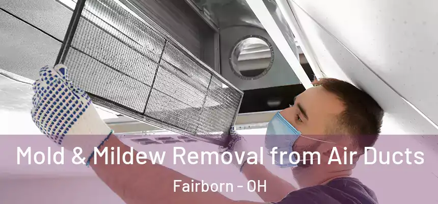 Mold & Mildew Removal from Air Ducts Fairborn - OH