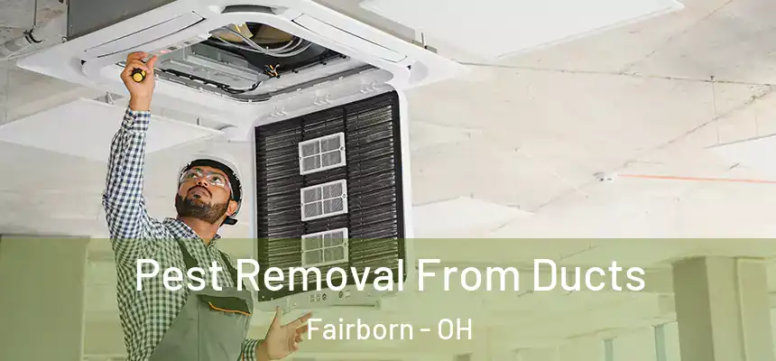 Pest Removal From Ducts Fairborn - OH