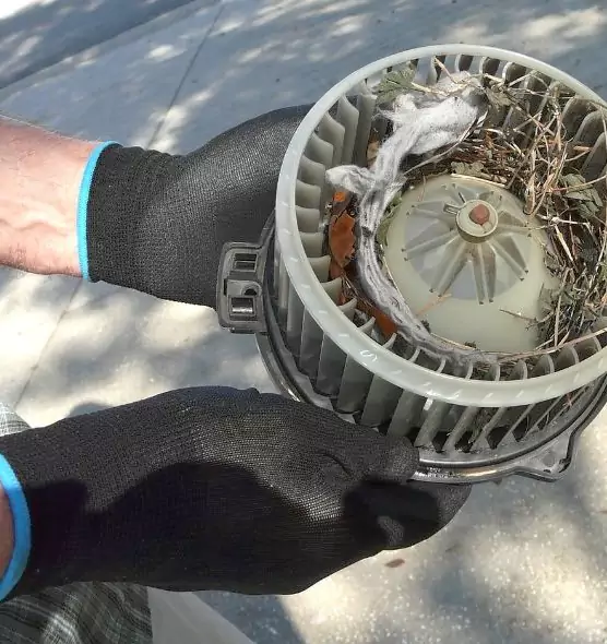 About Air Duct Rat Removal in Fairborn, OH