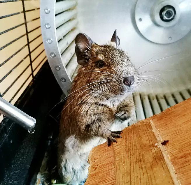 Why Homeowners & Businesses Trust Us Fairborn, OH